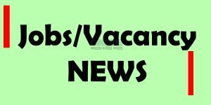 शिक्षक पात्रता परीक्षा शांतिपूर्ण संपन्न, दोनों पालियों में 90 प्रतिशत से अधिक परीक्षार्थी हुए शामिल