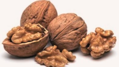 Walnut Benifit in Hindi: स्वस्थ दिल और दिमाग के लिए रामबाण है मस्तिष्क जैसा दिखने वाला यह ड्राई फ्रूट