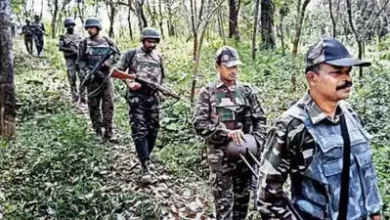 छत्तीसगढ़ : कभी नक्सलवाद का दंश झेल चुके गांव नागलगुंडा में बह रही विकास की धारा 