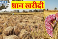 CG paddy purchase: धान उठाव में कोरबा जिला प्रदेश में पहले स्थान पर