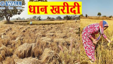 CG paddy purchase: धान उठाव में कोरबा जिला प्रदेश में पहले स्थान पर