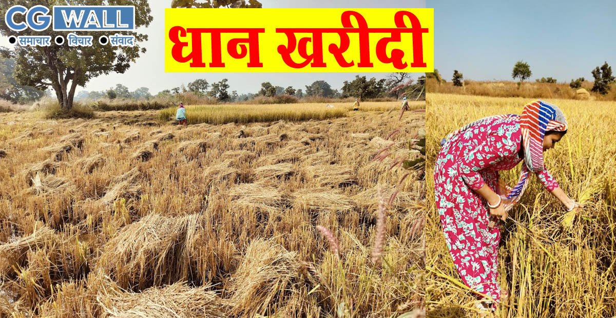 Paddy Purchase- जिले में धान की बम्पर आवक,माईक्रो एटीएम की सुविधा से किसानों को बैंक की भीड़ से मिल रही राहत