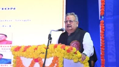 बजट आम लोगों की उम्मीदों को करेगा पूरा, मध्यम वर्ग को मिलेगा लाभ : रमन सिंह
