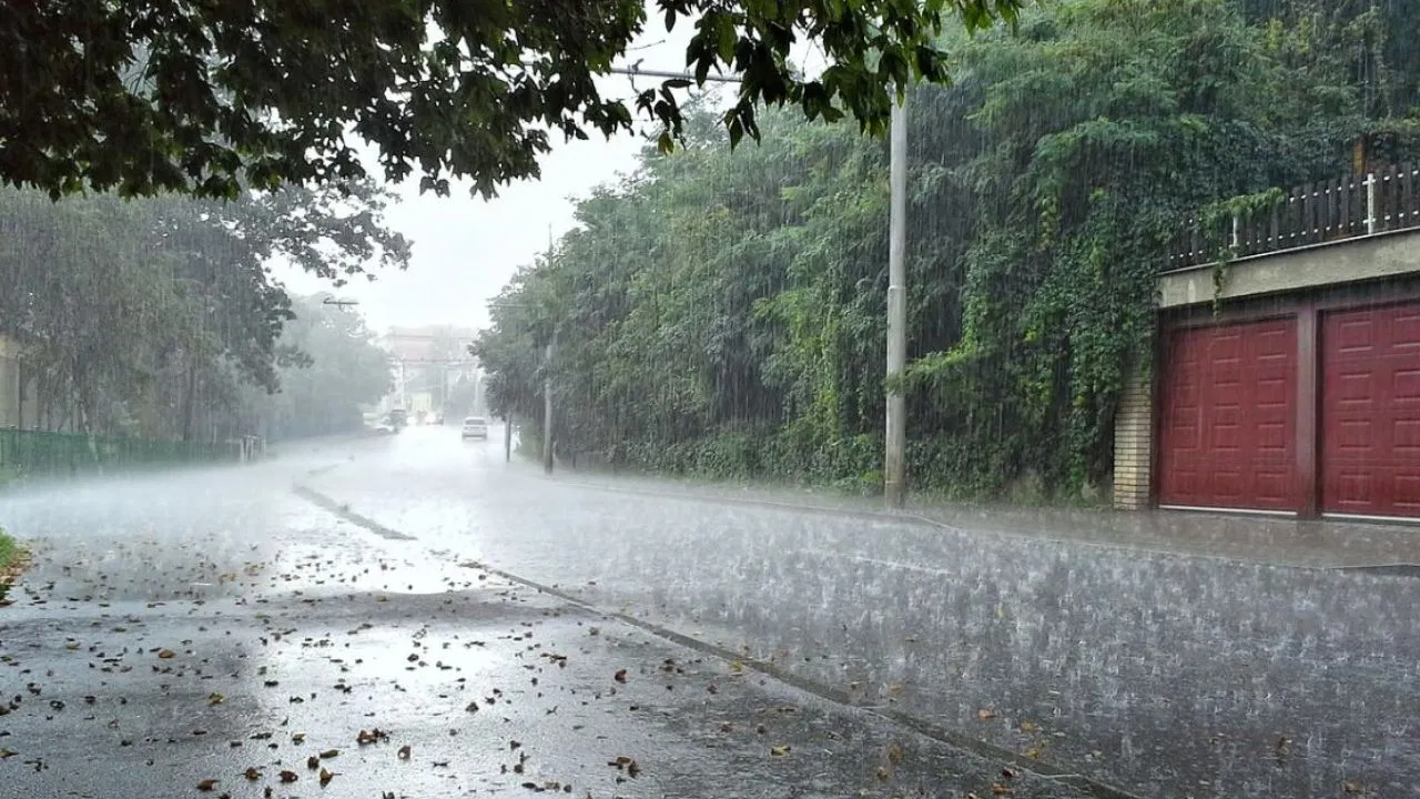 चक्रवाती तूफ़ान मोंथा के असर से राजधानी में सुबह से हो रही बारिश, इन इलाकों के लिए जारी हुआ अलर्ट चक्रवाती तूफ़ान मोंथा के असर से राजधानी में सुबह से हो रही बारिश, इन इलाकों के लिए जारी हुआ अलर्ट