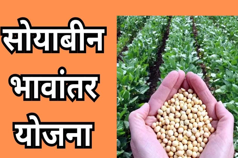 किसानों के लिए राहत: भावांतर योजना का नया मॉडल रेट आज से 4,130 रुपए