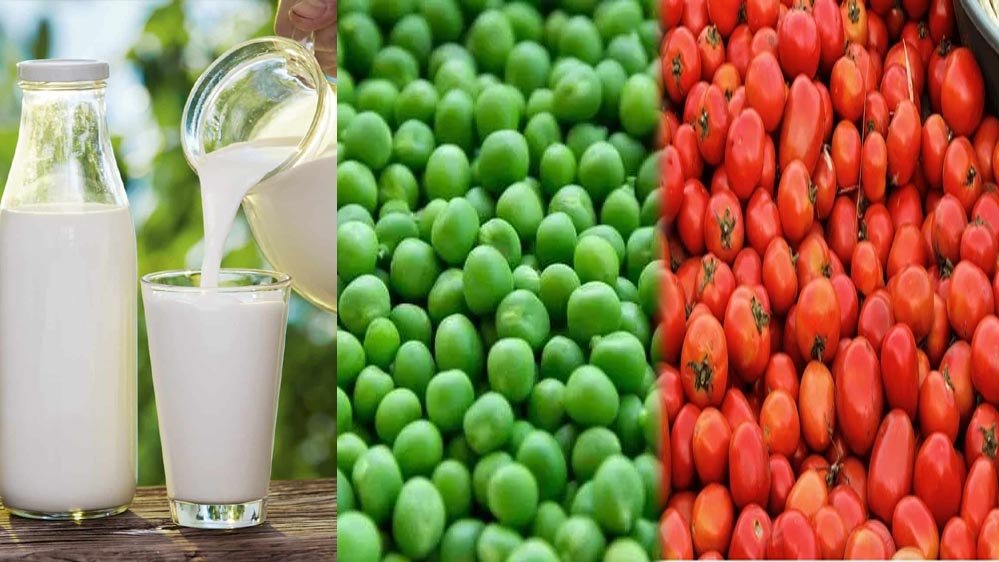 कृषि में मध्य प्रदेश का दबदबा: टमाटर और मटर में शीर्ष, दुग्ध उत्पादन बढ़ाने की योजना कृषि में मध्य प्रदेश का दबदबा: टमाटर और मटर में शीर्ष, दुग्ध उत्पादन बढ़ाने की योजना