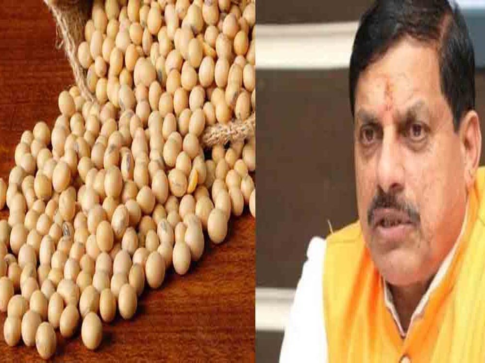 किसानों के चेहरे पर मुस्कान, सोयाबीन पर मोहन सरकार का 1,300 रुपये प्रति क्विंटल भावांतर