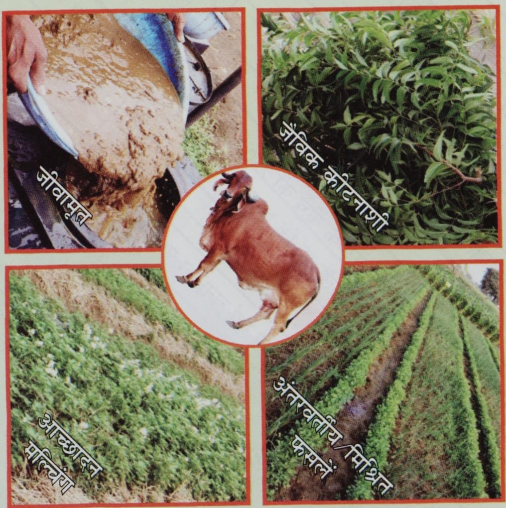 कृषि विवि में प्राकृतिक खेती पर राष्ट्रीय संगोष्ठी कल, राज्यपाल रमेन डेका संगोष्ठी का शुभारंभ करेंगे, मुख्यमंत्री साय करेंगे अध्यक्षता कृषि विवि में प्राकृतिक खेती पर राष्ट्रीय संगोष्ठी कल, राज्यपाल रमेन डेका संगोष्ठी का शुभारंभ करेंगे, मुख्यमंत्री साय करेंगे अध्यक्षता