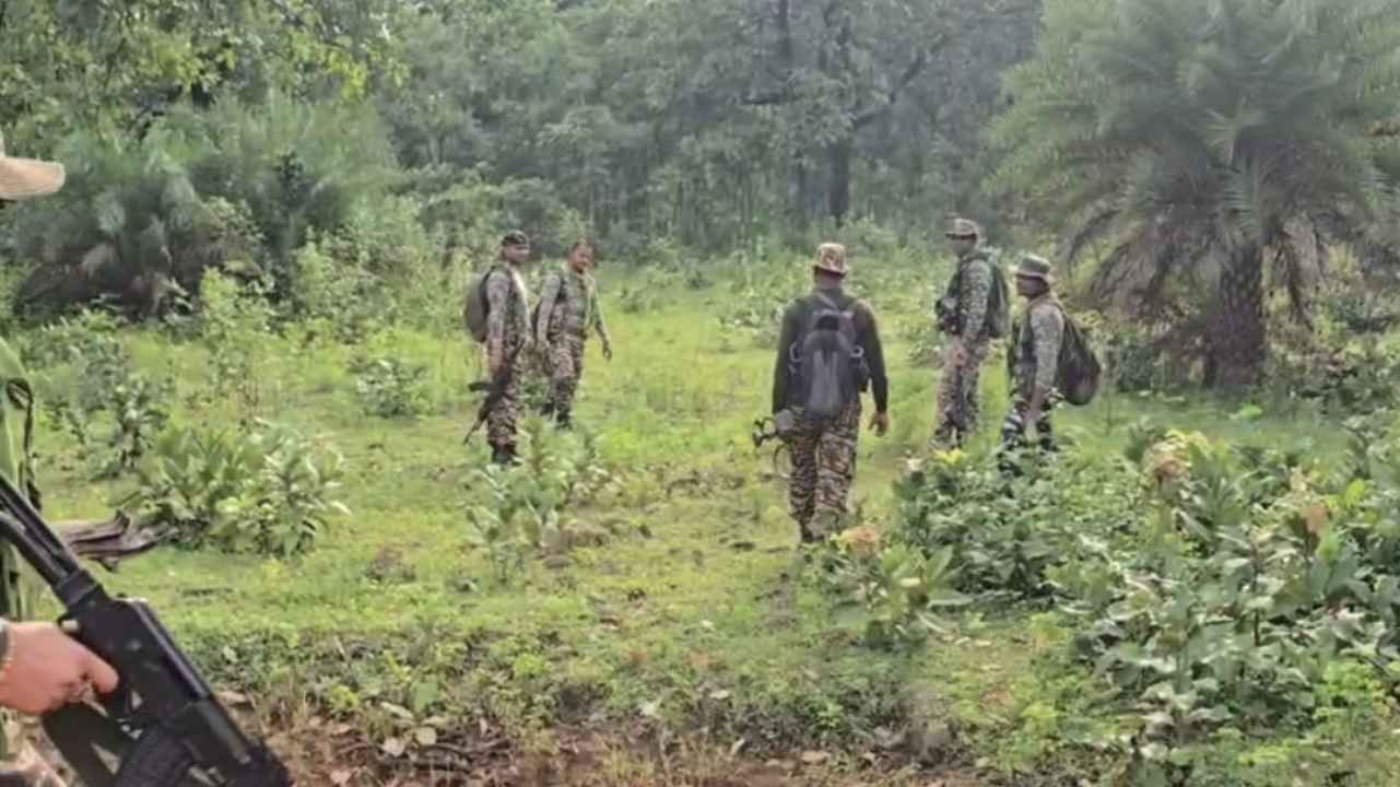 Big News : सुकमा में नक्सलियों ने किया IED ब्लास्ट,सर्चिंग में निकला CRPF जवान घायल 1 Chhattisgarh 72 11zon