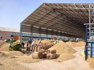 CG news: झारखंड से आ रही सैकड़ों बोरी अवैध धान जब्त