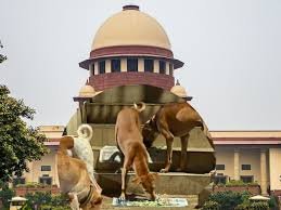 Stray Dog Case: आवारा पशुओं को लेकर सुप्रीम कोर्ट का राज्यों-NHAI और निकायों को निर्देश,कहा- सड़कों-हाईवे से हटाएं