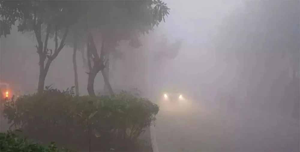 कड़ाके की सर्दी का प्रहार! कई राज्यों में शीतलहर का IMD अलर्ट, तापमान में भारी गिरावट