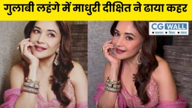 माधुरी दीक्षित की ‘शाम गुलाबी’: किलर लुक के बाद अब ‘मिसेज देशपांडे’ बनकर ओटीटी पर मचाया तहलका